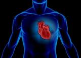 پیش بینی خطر حمله قلبی با كمك هوش مصنوعی