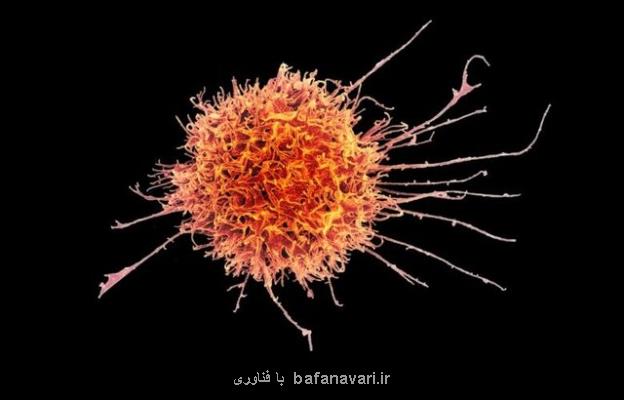 نقش سلول های ایمنی در مبتلاشدن به كووید-19 شدید