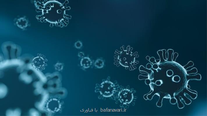 پیشبینی همه گیری های آینده با بررسی تعامل میان انسان و حیوان