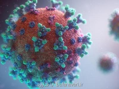 ابتكار استاد دانشگاه لنكستر برای شناسایی سریع ویروس ها