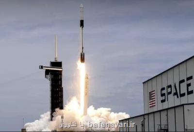 اسپیس ایكس 5 هزار خرس آبی به فضا برد