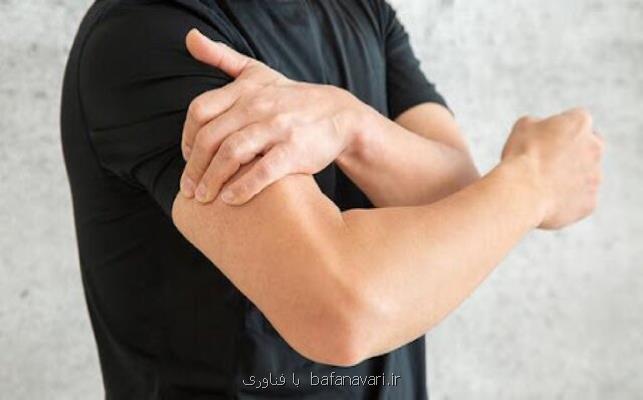 رشد باردیگر عضلات از دست رفته با کمک میکروبیوم روده