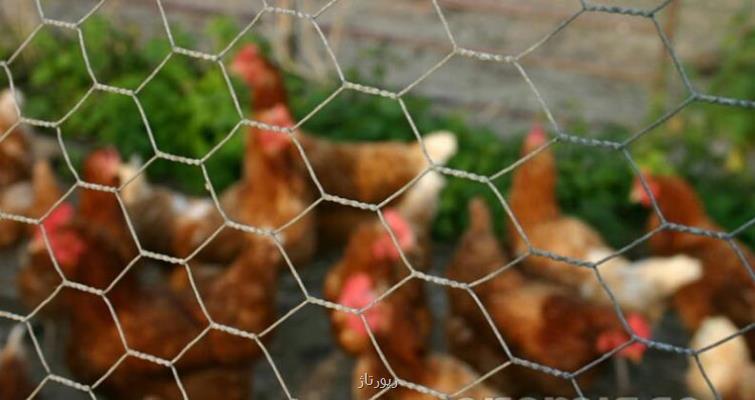 قیمت آهن و اتصالات