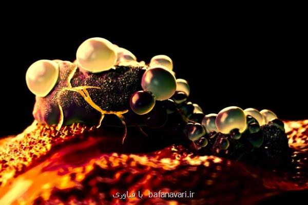 جلوگیری از مبتلا شدن به دیابت در اثر ایمنی درمانی سرطان با سلول های بنیادی