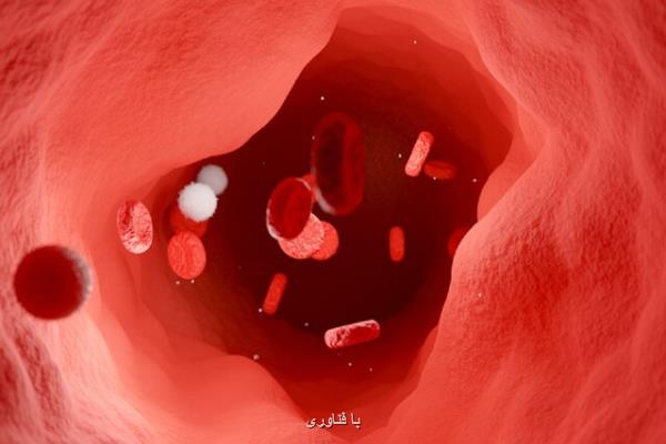 سلول های ایمنی که به جای مقابله با بیماری، به آن کمک می کنند!