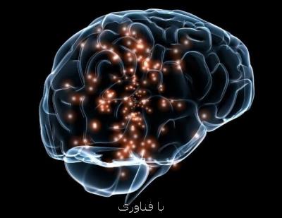 دمای مغز سالم انسان بیشتر از ۴۰ درجه است!