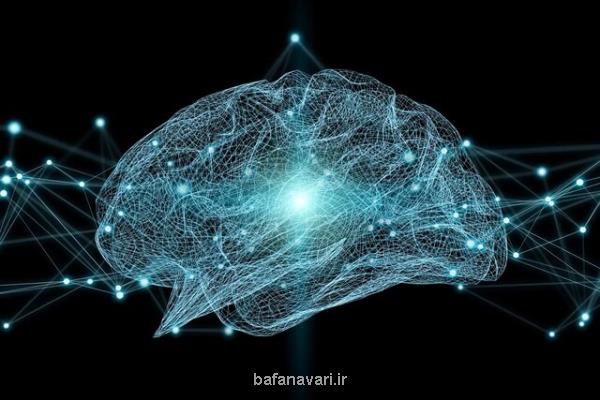 تقویت حافظه و یادگیری با داروی سرطان!