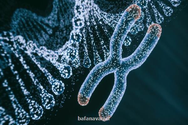 سلول های زامبی چه هستند و چرا دانشمندان می خواهند آنها از بین بروند؟