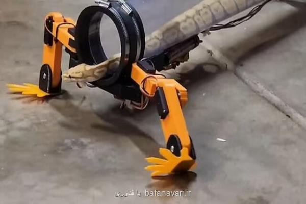 ماری که پا دارد و راه می رود!