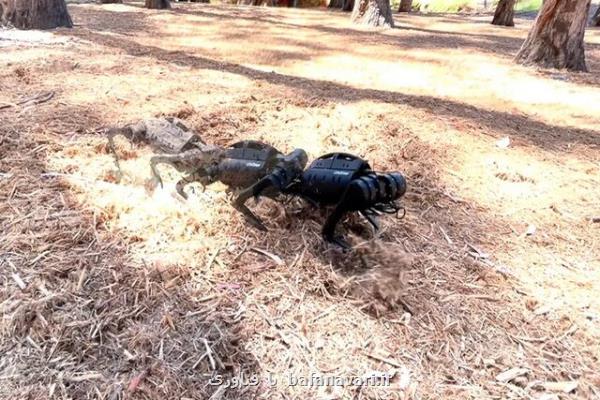 سگ رباتیکی که راه رفتن را در ۲۰ دقیقه یاد می گیرد