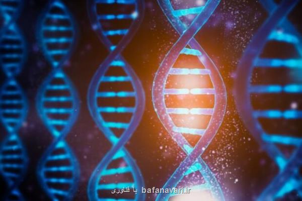 پژوهشگران کشور موفق به شناسایی ژن ها و مسیرهای مولکولی سرطان شدند