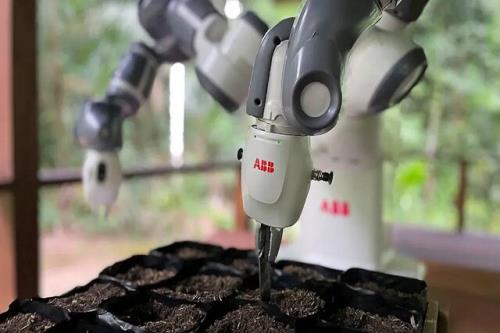 احیای جنگلها به کمک یک ربات