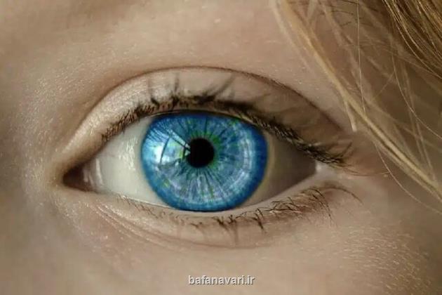 نقش حیاتی ژن های رنگ چشم در حفظ سلامتی شبکیه