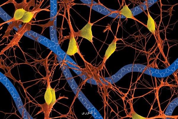 پایش بازدم بیمار با سنسور حاوی ابریشم برای تشخیص فوری بیماری