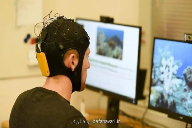 مشارکت پژوهشگران ایرانی در اجرای ۱۲ طرح مشترک حوزه علوم شناختی