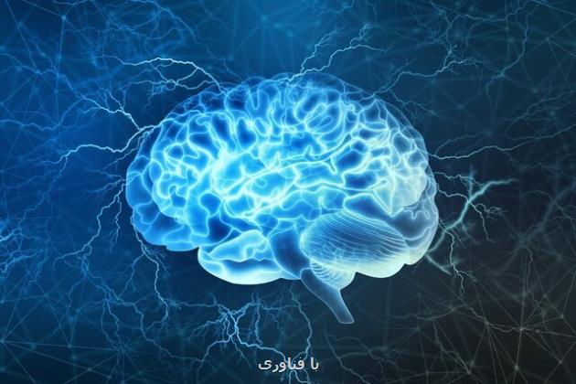 ساخت داروی هوشمندی که فقط در مغز و هنگام التهاب فعال می شود