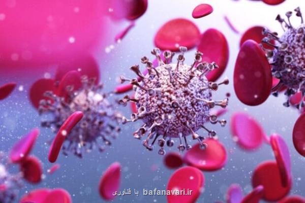 بیماران قلبی، تنفسی، دیابت و سرطان در مقابل کرونا لطمه پذیرتر هستند