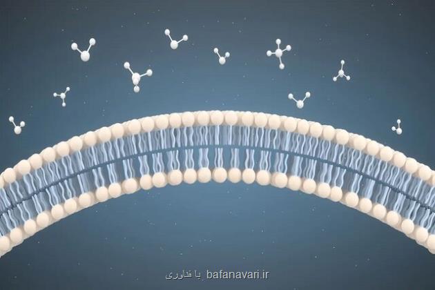 تصویربرداری سرد برای نجات جان انسان ها تحول در طراحی داروهای پیشرفته