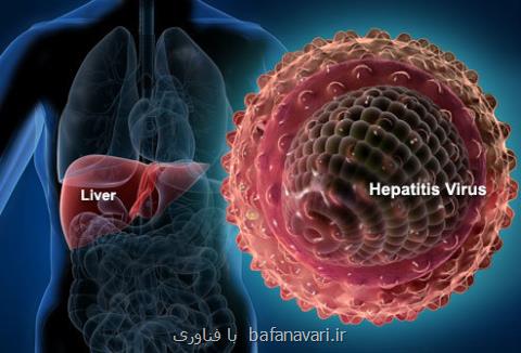 ساعت بیولوژیكی بدن عامل مهمی در مبارزه با نوعی هپاتیت حاد است