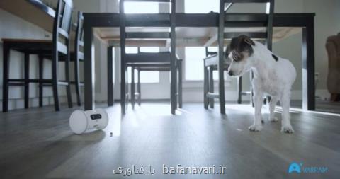 وارام  رباتی برای پر كردن تنهایی حیوانات خانگی