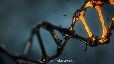 پیش بینی قد و بیماری های جدی با ابزار جدید DNA