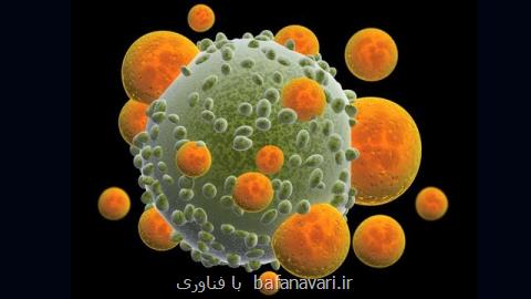 نقش اساسی سیستم ایمنی در به خواب رفتن سلول های سرطانی