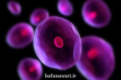 ثبت اطلاعات سلول بنیادی خونساز در شبكه ملی كشور