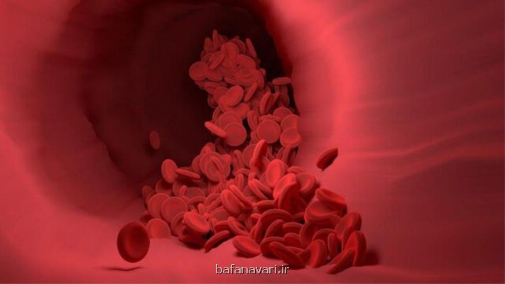 نقش مهم چربی در حفاظت از رگ های خونی