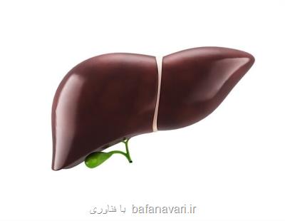 بیماری كبد چرب می تواند به بروز بیماری های عصبی منجر شود