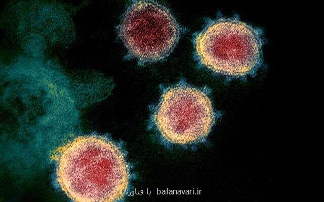 چرا كرونا مانند آنفلوآنزا یك ویروس فصلی نیست؟