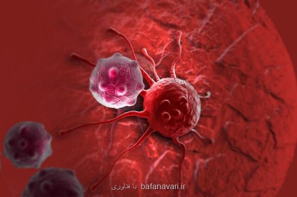 رابطه رژیم های غذایی پرچرب، با گسترش سرطان و ضعف سلول های ایمنی